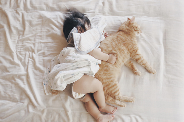 【いぬねこ うちのこ。】小さな兄弟と猫の金太郎とあずき／yukariiiさん