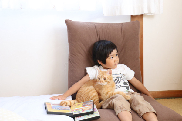 【いぬねこ うちのこ。】小さな兄弟と猫の金太郎とあずき／yukariiiさん