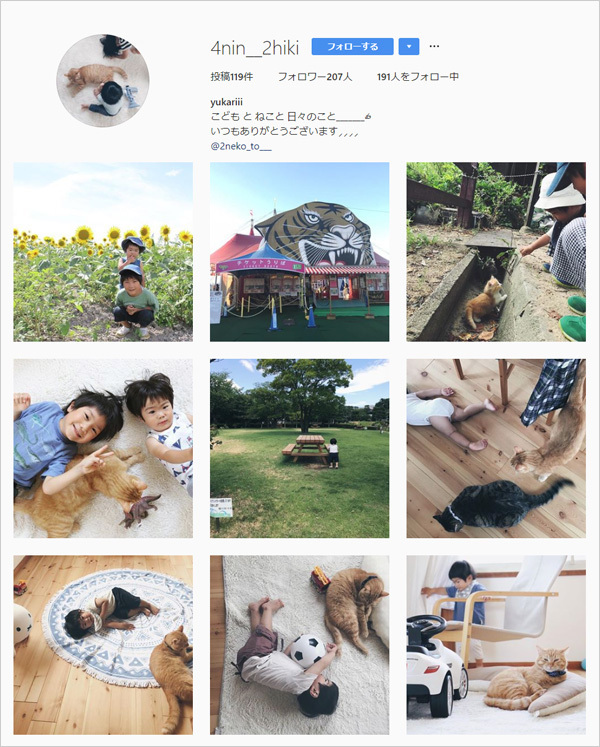 【いぬねこ うちのこ。】小さな兄弟と猫の金太郎とあずき／yukariiiさん