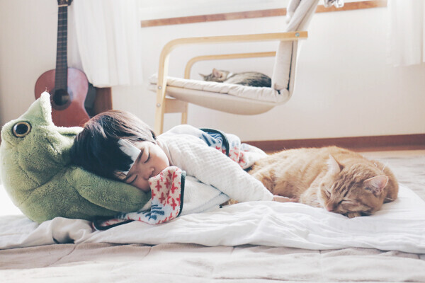 【いぬねこ うちのこ。】小さな兄弟と猫の金太郎とあずき／yukariiiさん