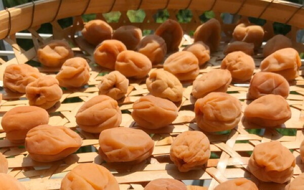 家仕事「やっておきたい・やればよかった」暑い季節のあれこれ