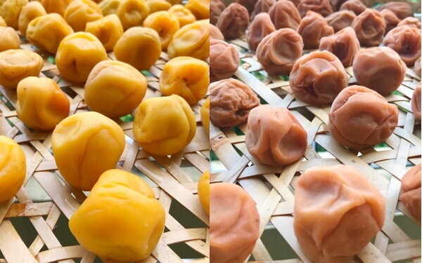 家仕事「やっておきたい・やればよかった」暑い季節のあれこれ