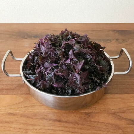 家仕事「やっておきたい・やればよかった」暑い季節のあれこれ