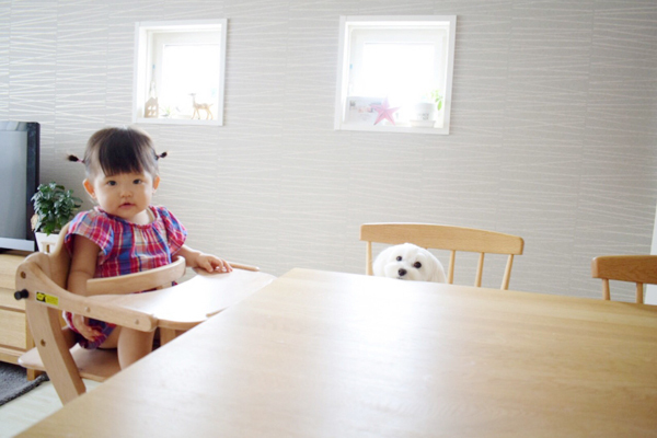 【いぬねこ うちのこ。】えなちゃん（1歳）とマルプーのフラン（2歳）／anさん