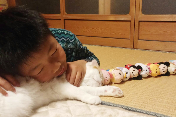 【いぬねこ うちのこ。】「ぐでねこライくん」兄妹と、蒼空くん＆陸くん／ojarinnさん