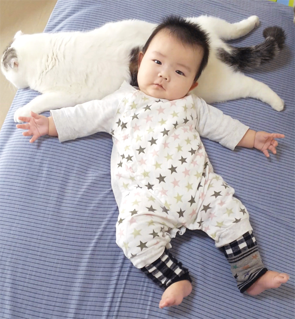 【いぬねこ うちのこ。】「ぐでねこライくん」兄妹と、蒼空くん＆陸くん／ojarinnさん