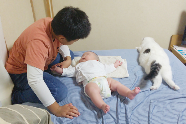 【いぬねこ うちのこ。】「ぐでねこライくん」兄妹と、蒼空くん＆陸くん／ojarinnさん