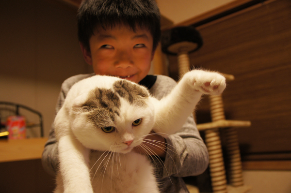 【いぬねこ うちのこ。】「ぐでねこライくん」兄妹と、蒼空くん＆陸くん／ojarinnさん