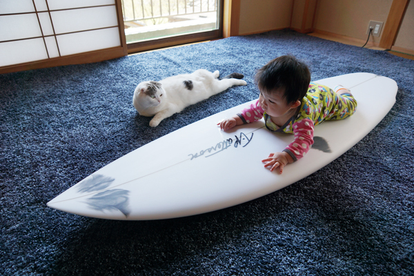 【いぬねこ うちのこ。】「ぐでねこライくん」兄妹と、蒼空くん＆陸くん／ojarinnさん