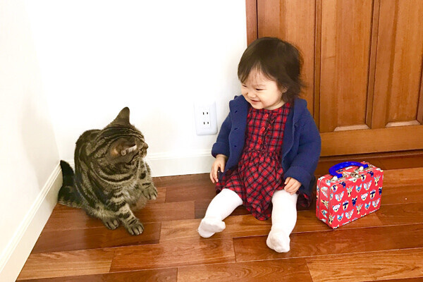 【いぬねこ うちのこ。】3歳の娘さんと猫のポポ（4歳）／りーさん