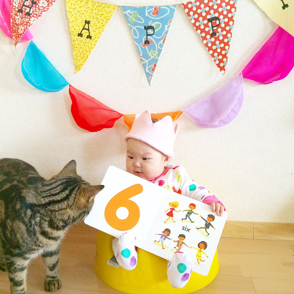 【いぬねこ うちのこ。】3歳の娘さんと猫のポポ（4歳）／りーさん