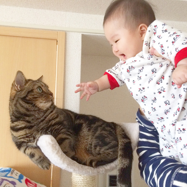 【いぬねこ うちのこ。】3歳の娘さんと猫のポポ（4歳）／りーさん