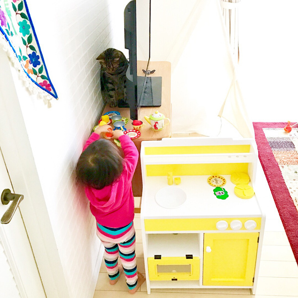 【いぬねこ うちのこ。】3歳の娘さんと猫のポポ（4歳）／りーさん