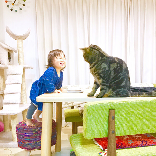 【いぬねこ うちのこ。】3歳の娘さんと猫のポポ（4歳）／りーさん