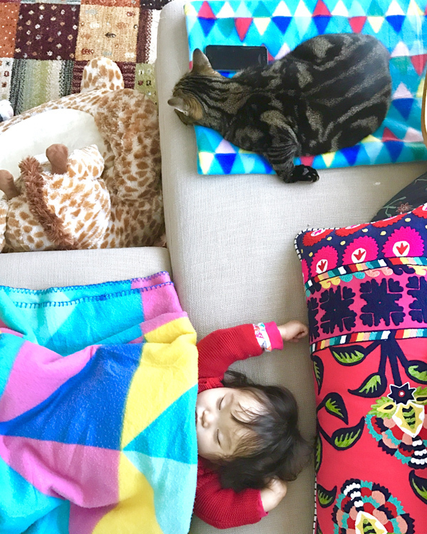 【いぬねこ うちのこ。】3歳の娘さんと猫のポポ（4歳）／りーさん