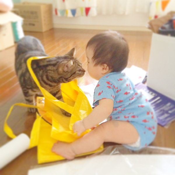 【いぬねこ うちのこ。】3歳の娘さんと猫のポポ（4歳）／りーさん