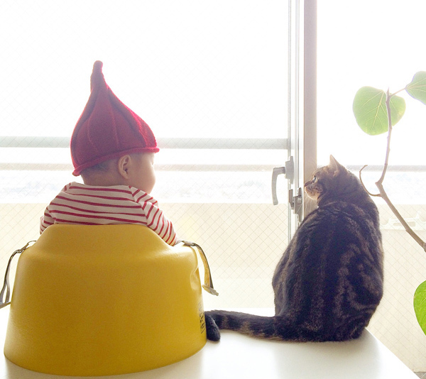 【いぬねこ うちのこ。】3歳の娘さんと猫のポポ（4歳）／りーさん