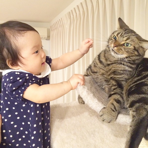 【いぬねこ うちのこ。】3歳の娘さんと猫のポポ（4歳）／りーさん
