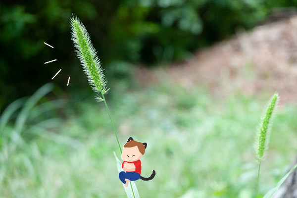 お月見にさっと用意できる！ ねこじゃらしのお飾り【昔ながらが”今”楽しい！レトロアートレシピ Vol.14】