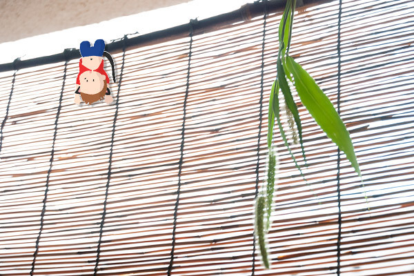 お月見にさっと用意できる！ ねこじゃらしのお飾り【昔ながらが”今”楽しい！レトロアートレシピ Vol.14】