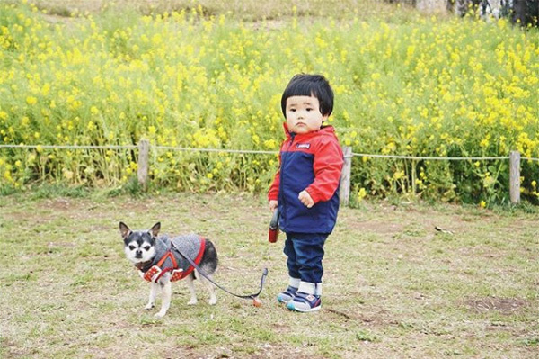 【いぬねこ うちのこ。】大福マン（3歳）とチワワの月ちゃん（11歳）／ともえさん