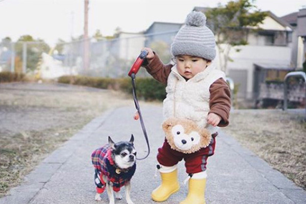 【いぬねこ うちのこ。】大福マン（3歳）とチワワの月ちゃん（11歳）／ともえさん