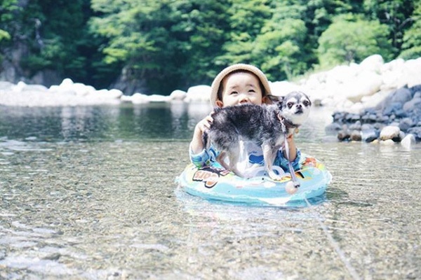 【いぬねこ うちのこ。】大福マン（3歳）とチワワの月ちゃん（11歳）／ともえさん