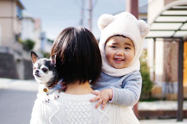 【いぬねこ うちのこ。】大福マン（3歳）とチワワの月ちゃん（11歳）／ともえさん