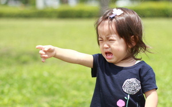 イヤイヤ期「子どものギャン泣き、いつまで続く？」ママのための“傾向と対策”【「ママ、あのね」心理相談のプロに聞く“子どもの気持ち、ママの気持ち”  第2回】