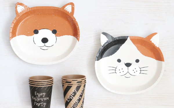 「買ってよかった」「買って後悔」整理収納のプロが実践する“もの選びの技術”