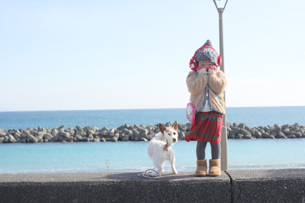 【いぬねこ うちのこ。】はるかちゃん（5歳）、ジャックラッセルテリアのさくら（8歳）／csさん