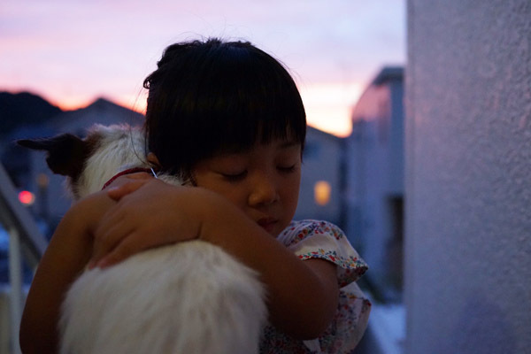 【いぬねこ うちのこ。】はるかちゃん（5歳）、ジャックラッセルテリアのさくら（8歳）／csさん