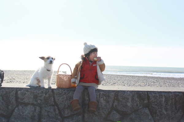 【いぬねこ うちのこ。】はるかちゃん（5歳）、ジャックラッセルテリアのさくら（8歳）／csさん