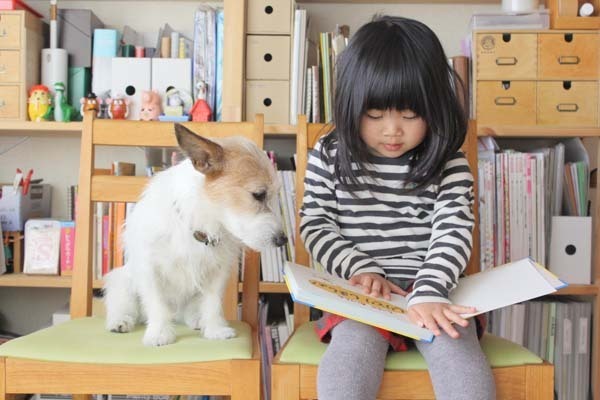 【いぬねこ うちのこ。】はるかちゃん（5歳）、ジャックラッセルテリアのさくら（8歳）／csさん