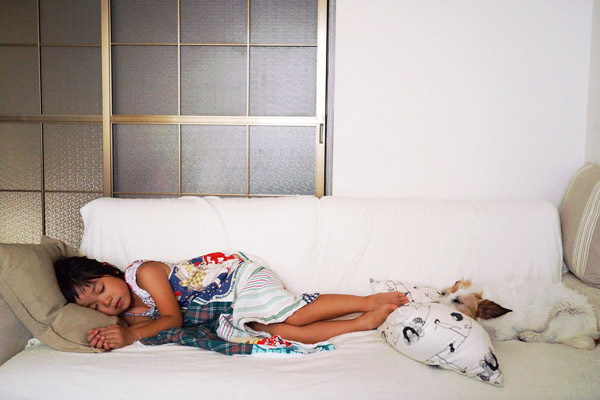 【いぬねこ うちのこ。】はるかちゃん（5歳）、ジャックラッセルテリアのさくら（8歳）／csさん