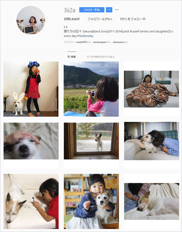 【いぬねこ うちのこ。】はるかちゃん（5歳）、ジャックラッセルテリアのさくら（8歳）／csさん