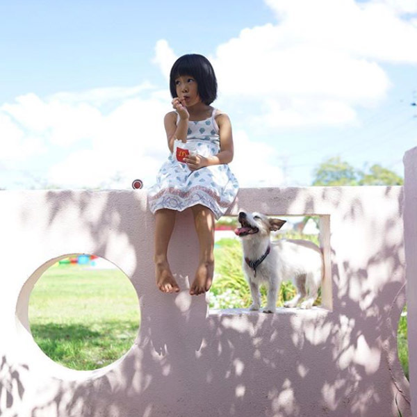 【いぬねこ うちのこ。】はるかちゃん（5歳）、ジャックラッセルテリアのさくら（8歳）／csさん