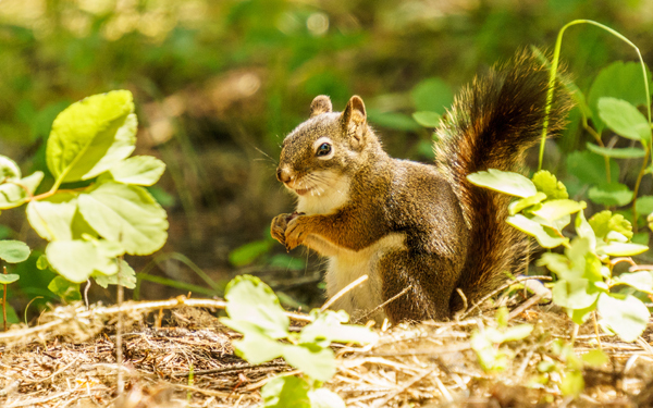 高橋一生が、「みんなと同じができない子ども」に悩む母の固定観念を崩す！