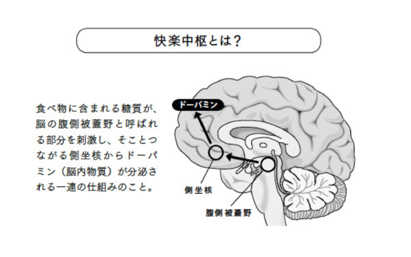 おさえられない食欲「イライラせずにやせるには？」【やせにくいママのための「脳科学ダイエット」ってなに？ 第2回】