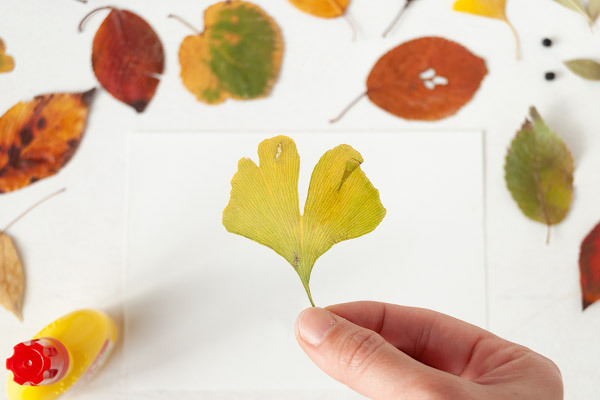落ち葉アート「これって何の形？」秋を楽しむ簡単工作【昔ながらが”今”楽しい！レトロアートレシピ Vol.18】