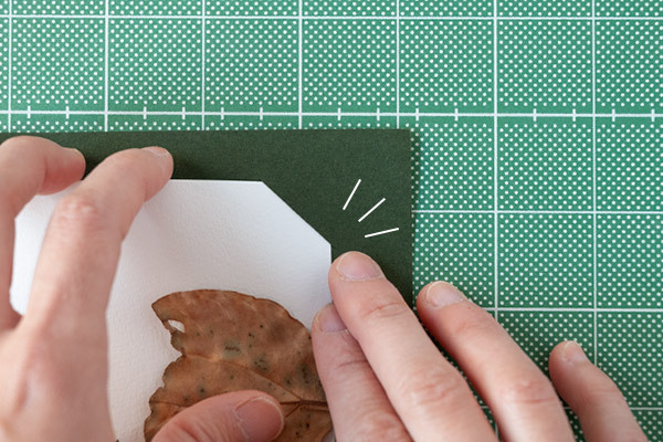 落ち葉アート「これって何の形？」秋を楽しむ簡単工作【昔ながらが”今”楽しい！レトロアートレシピ Vol.18】