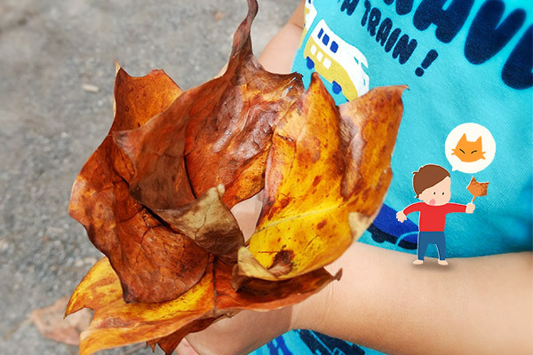落ち葉アート「これって何の形？」秋を楽しむ簡単工作【昔ながらが”今”楽しい！レトロアートレシピ Vol.18】