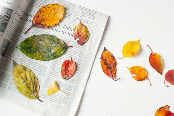 落ち葉アート「これって何の形？」秋を楽しむ簡単工作【昔ながらが”今”楽しい！レトロアートレシピ Vol.18】