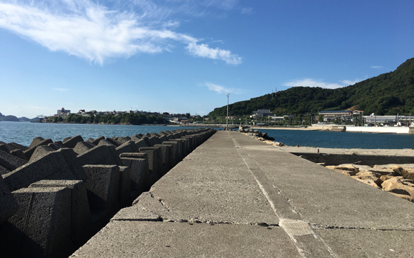 織田裕二、木村拓哉、江口洋介…「月9ドラマ」子どもの頃初めて泣いたのは？【パパママの本音調査】  Vol.311