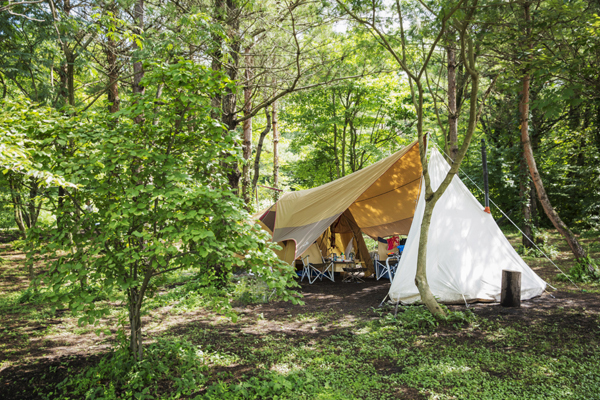 初めてのファミリーキャンプ、何を揃えたらよい？　アウトドア料理家・山戸ユカさんに教わる8つのポイント