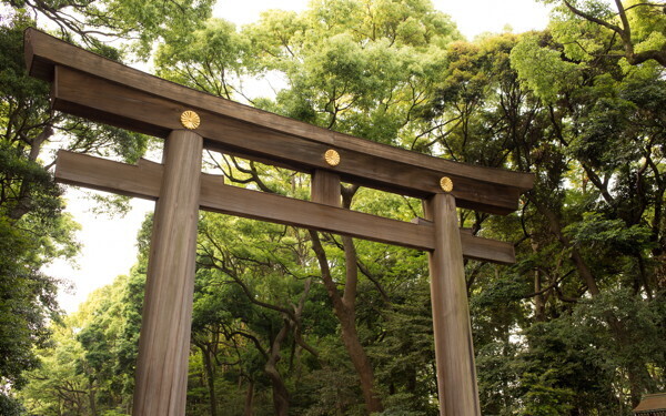 2019年はどんな年？　家族で運気アップ「パワースポット最強ベスト5」