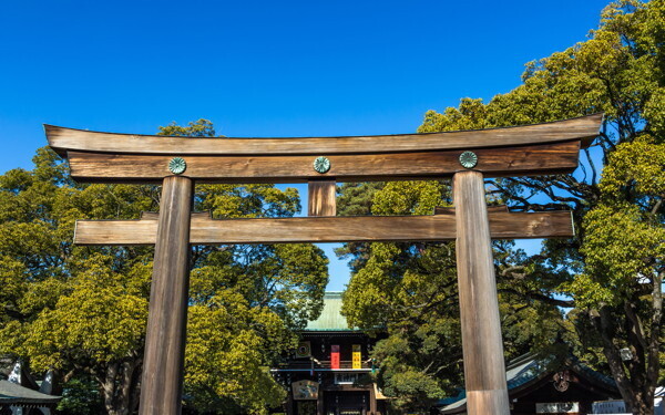 2019年はどんな年？　家族で運気アップ「パワースポット最強ベスト5」