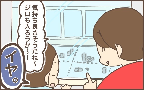 人見知りで怖がりの次男…水泳の習い事できるかな？【ぽんぽん家の2歳差育児 第14話】