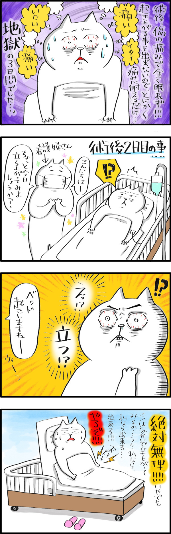 帝王切開手術後の壮絶な痛み…そして夫に辞めてほしかったこと　【PUKUTY(プクティ)只今育児奮闘中！ 第3話】