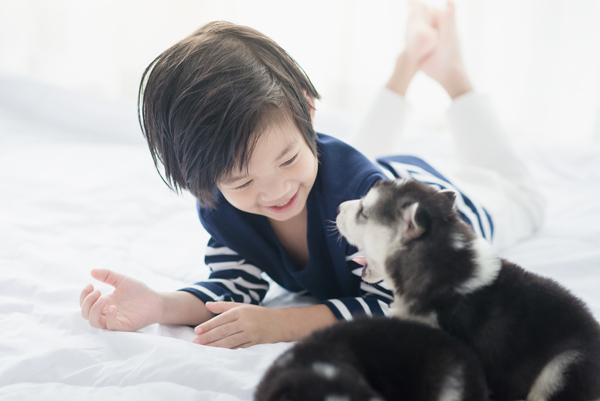 子どもとペットを災害から守るために親ができること【ペット防災の第一人者・平井潤子さんインタビュー】